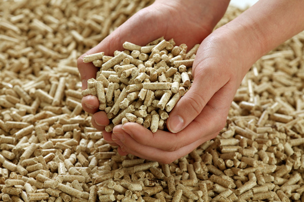 biomass pellets fuel