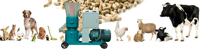 small feed pellet press for making animal feed
